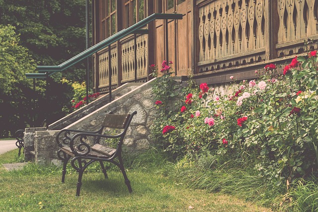 亚洲赛场频 亚洲赛场频