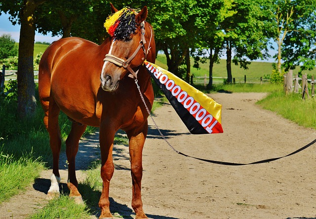 嚴重影響 嚴重影響