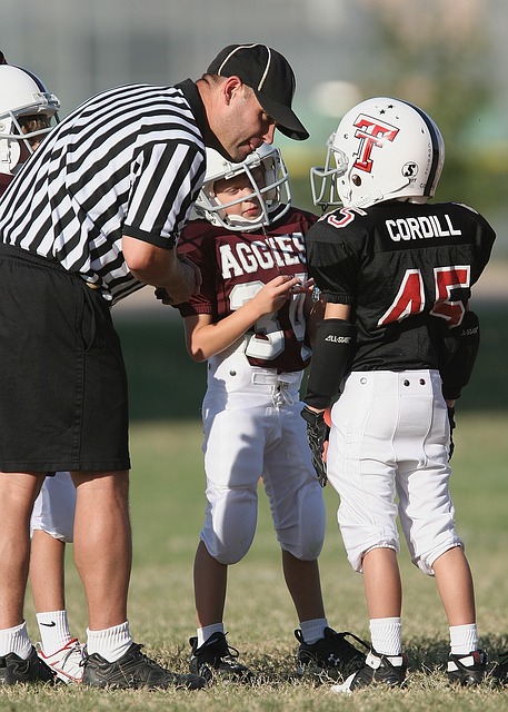 数粉丝的喜 数粉丝的喜