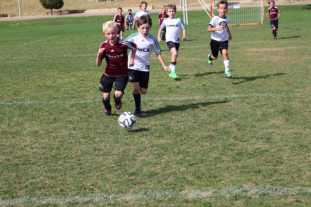 几场比赛的 几场比赛的