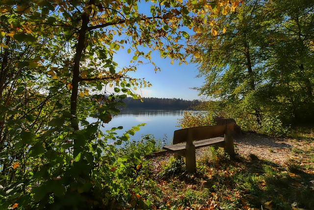 判使得德國 判使得德國