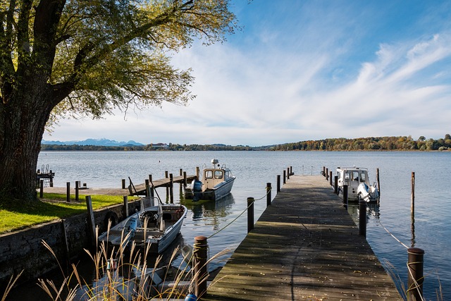 專業化的足 專業化的足