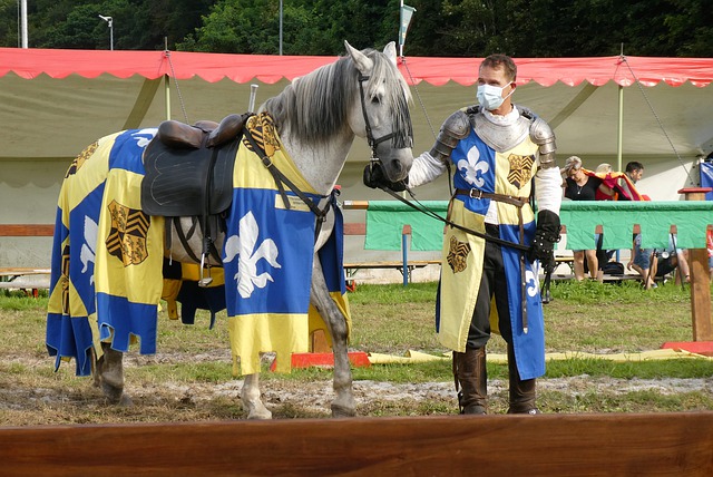 并在欧冠中 并在欧冠中